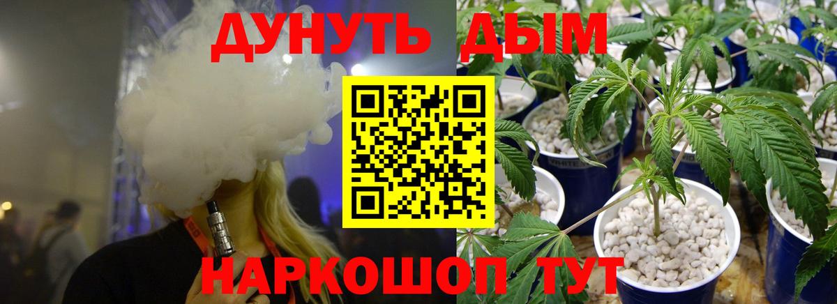 Конопля Amnesia Норильск